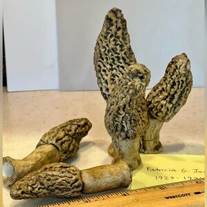 Morel Mushrooms sculpture by Patricia Judd 
In 1968 - Elkhart County, Indiana.